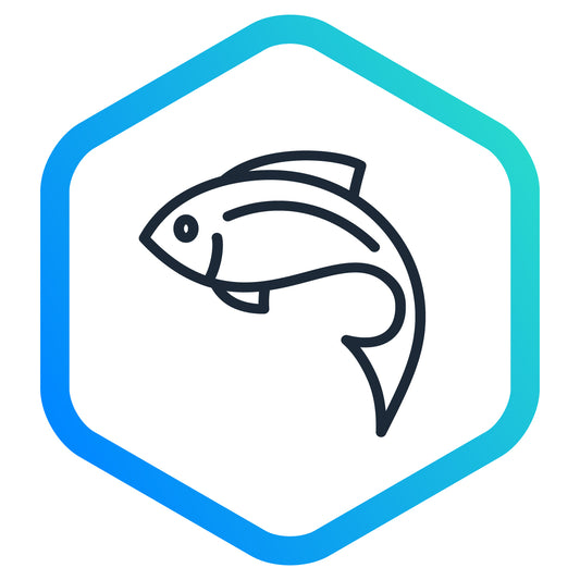 Fish (freshwater)