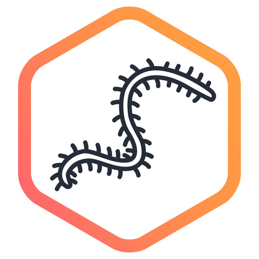 Invertebrates (marine sediment)