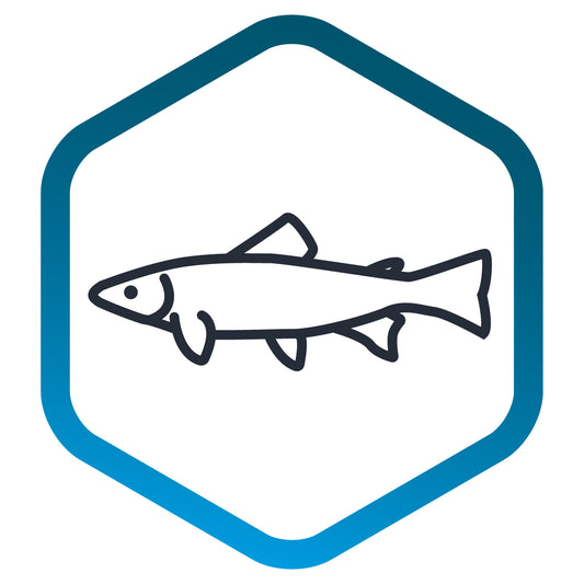 Fish (marine water) - for pump