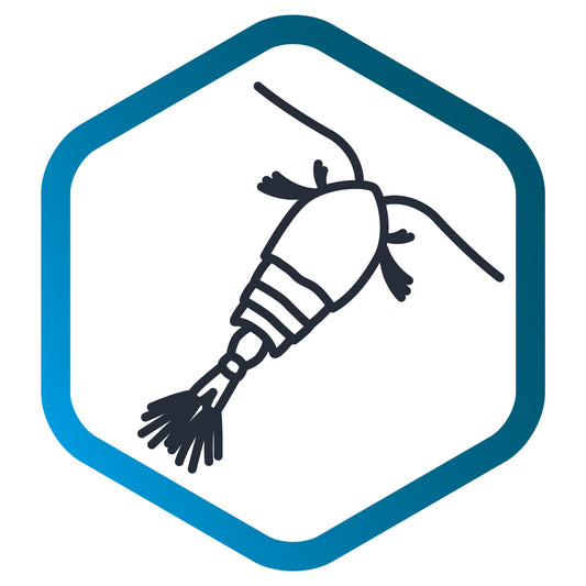 Invertebrates - from tissue samples (marine)