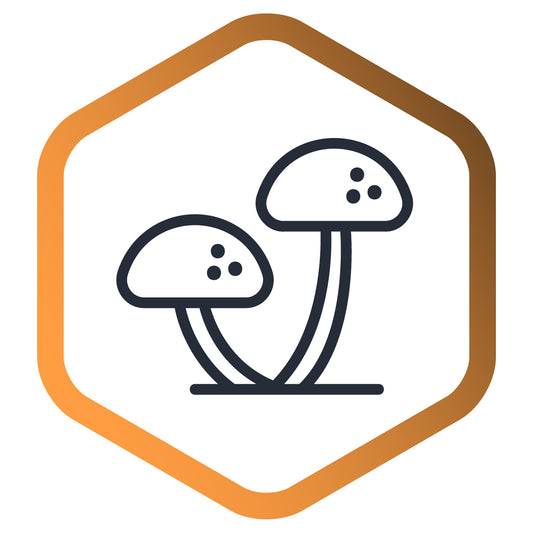 Fungi (soil) - UK / EU+