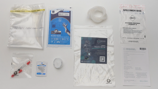 Aquatic kit (x1 filter) - for pump