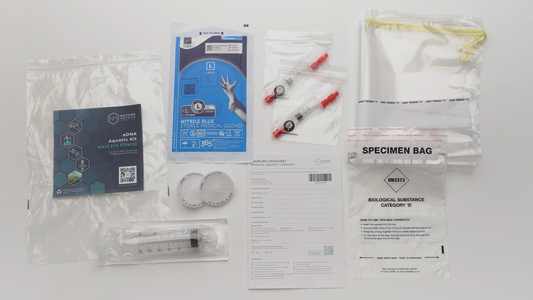 Aquatic kit (x2 filters)