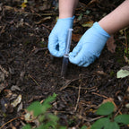 Invertebrates (soil) - UK / EU+