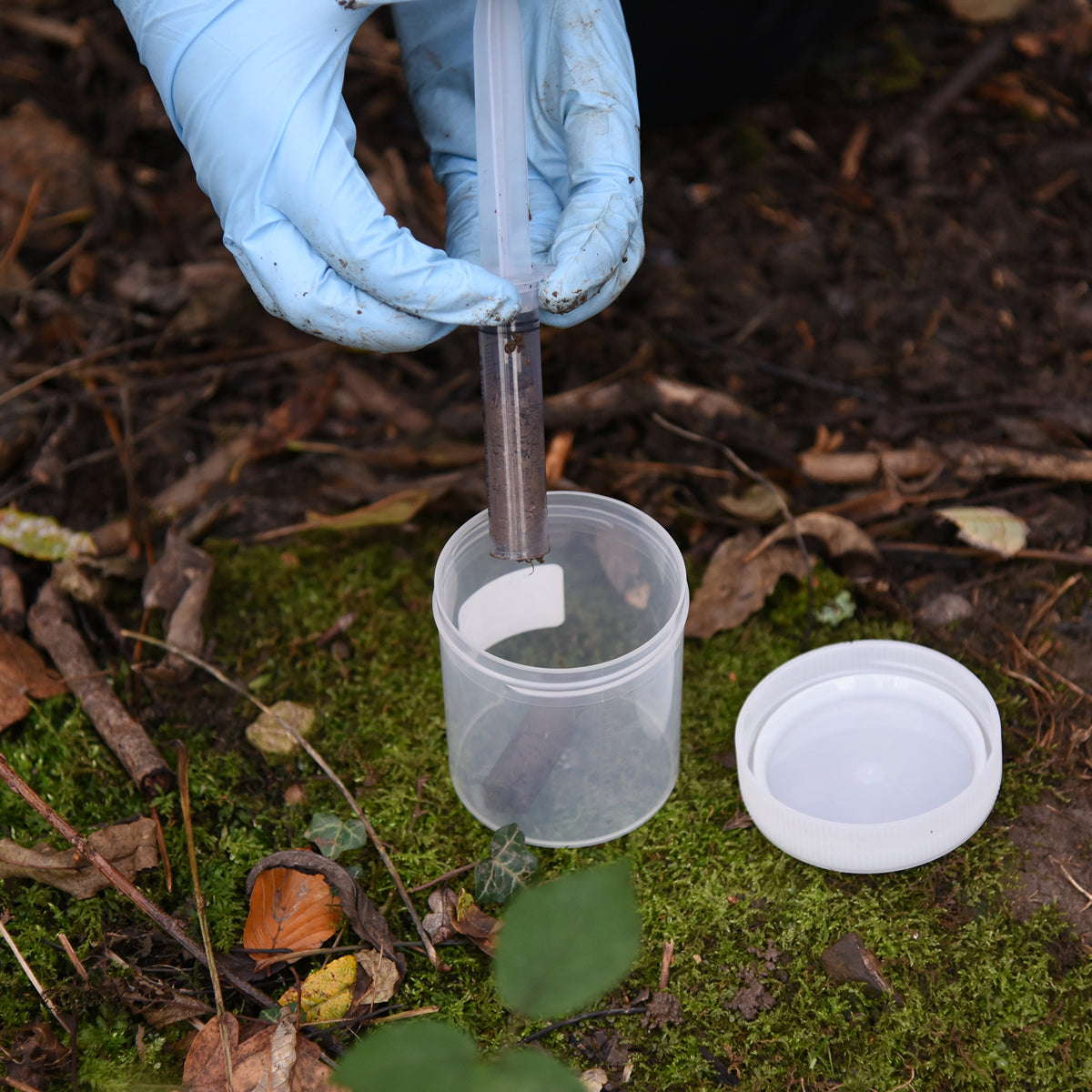 Fungi (soil) - UK / EU+